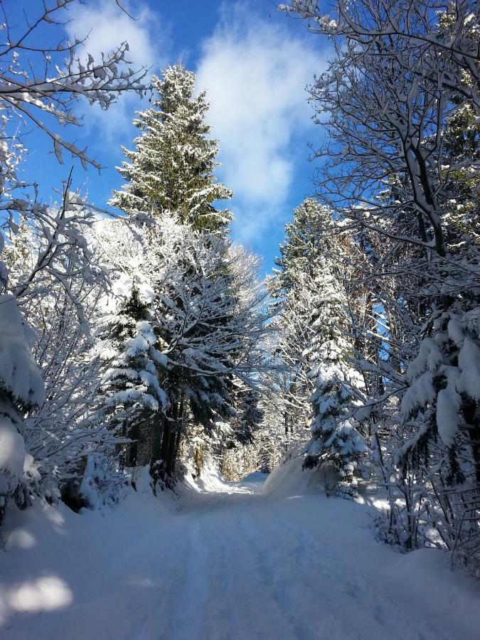 Apartma Lip Rateče Esterno foto