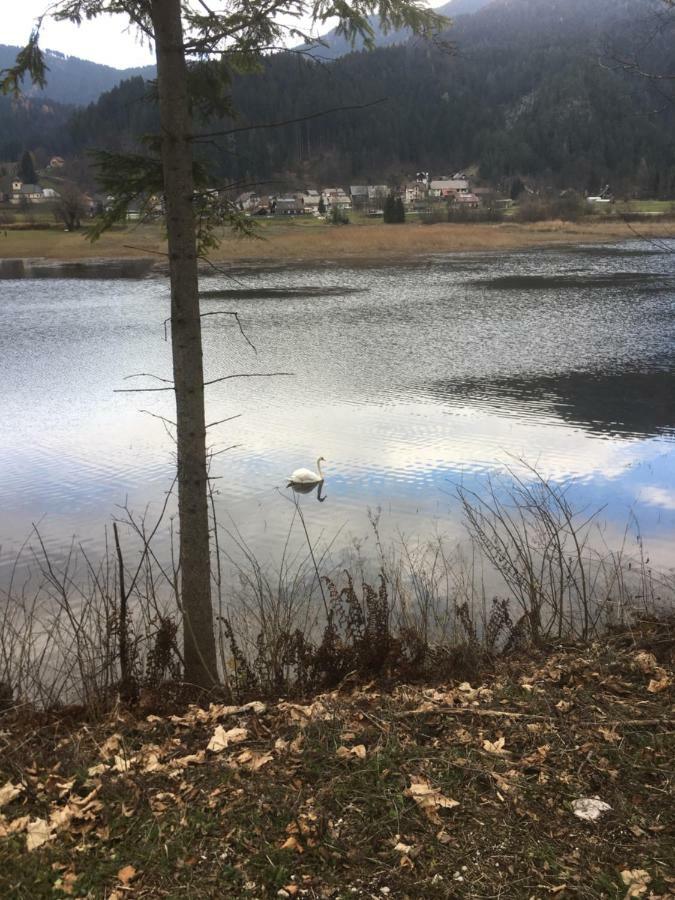 Apartma Lip Rateče Esterno foto
